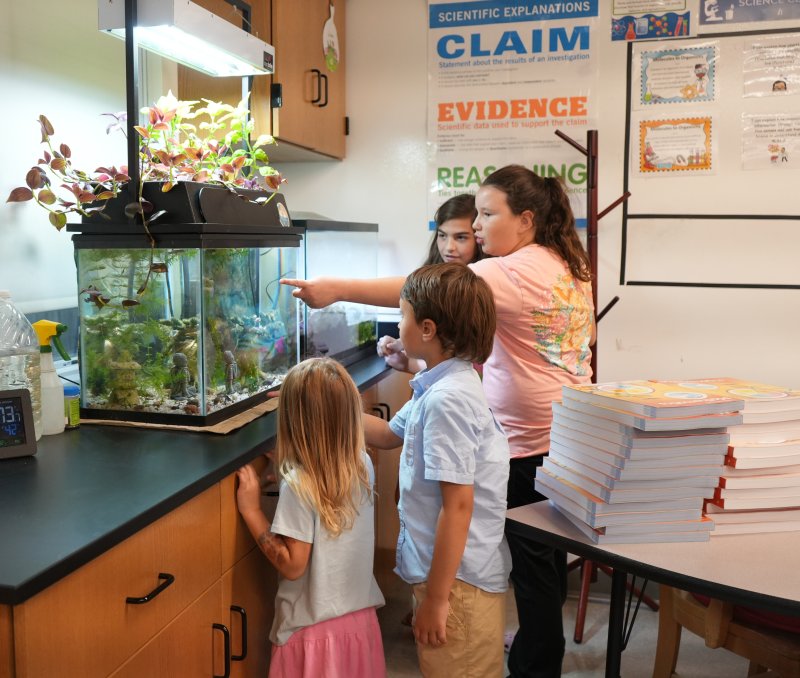 Sussex Academy Elementary students look into the fish tank in one of the classrooms at the open house Aug. 28. Shown are (l-r) Charlotte Williamson, who’s not yet in elementary school; her brother Lucas Williamson, who’s entering kindergarten; fourth-grader Caroline Krajewski, who’s pointing into the tank; and Lucy Keller.