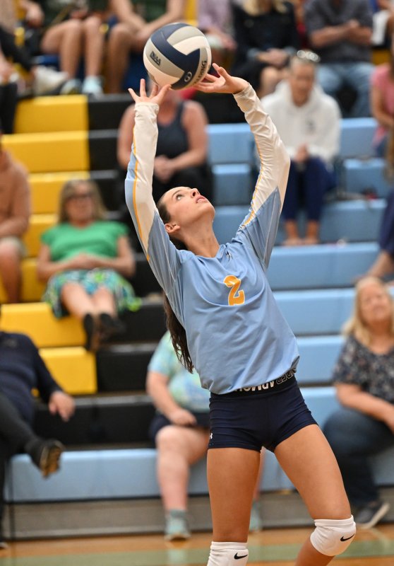Cape setter Kaylee	Sockriter puts up an assist.