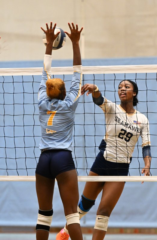Cape’s McKenzie Everson goes for the block on DMA’s Nissi Wadieh.