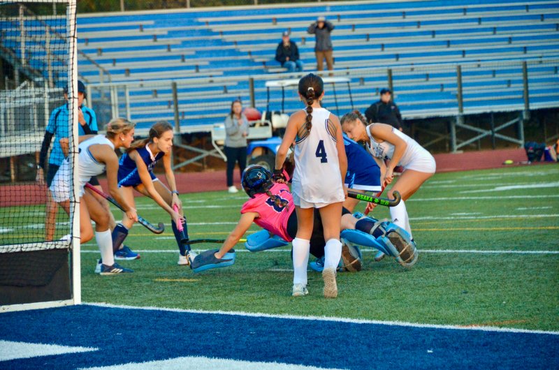 Lake Forest junior Jessica Lewis stretches out for a save.