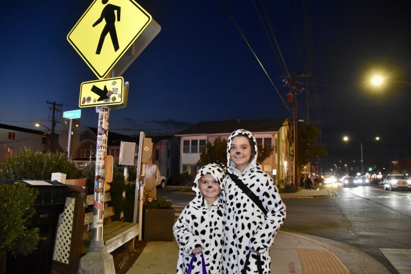 Two Dalmatian sisters, 8 and 10, wander around Dewey Beach.