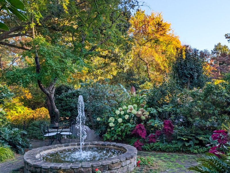 View of jet d’eau fountain and fall color of trees at Mill Pond Garden. SUBMITTED PHOTOS