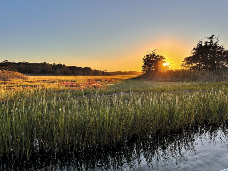 NATHALIE WILLARD PHOTO