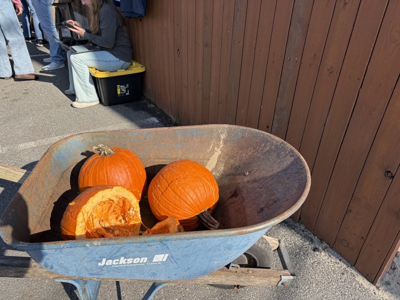 Damaged pumpkins are moved out of the landing zone.