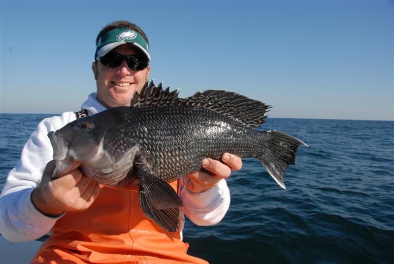 The fishing outlook for 2026