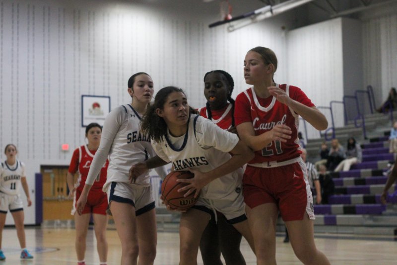 Sussex Academy freshman Barb Carniero-Duarte battles with Laurel freshman Jai’Lah Schockley.