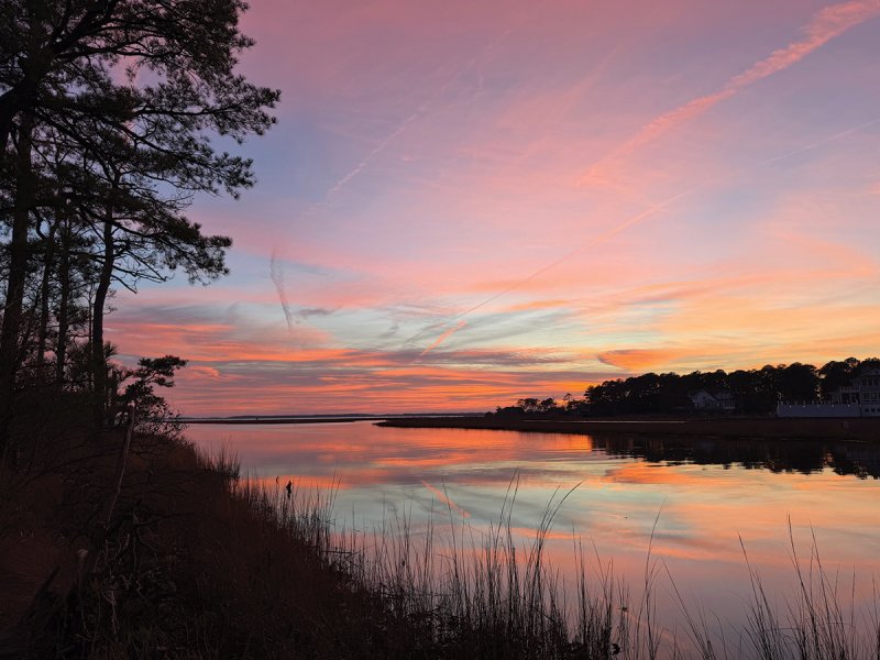 BERNADETTE HEARN PHOTO