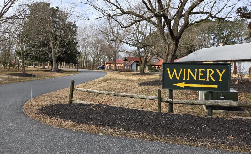 Nassau Valley Vineyards founder Peggy Raley steps down