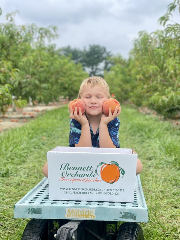Delaware Farm Bureau announces 2025 photo contest winners 