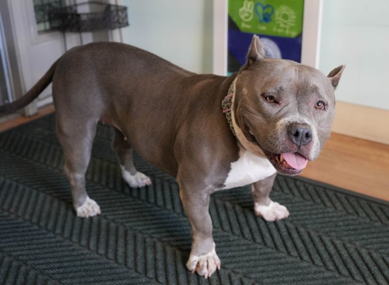 Lola doesn’t let her past define her, always showing up with a smile on her face.