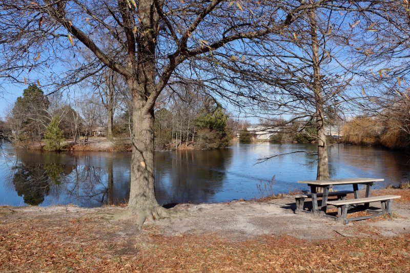 Lewes approves first steps for Blockhouse Pond refurbishment