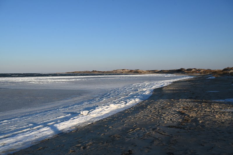 Ice forms at the Point in Cape Henlopen State Park.
