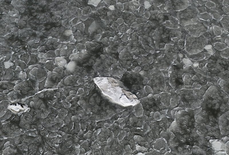 Ice in the Lewes-Rehoboth Canal.