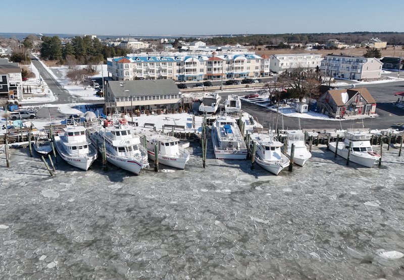 The boats at Fisherman’s Wharf aren’t going anywhere.