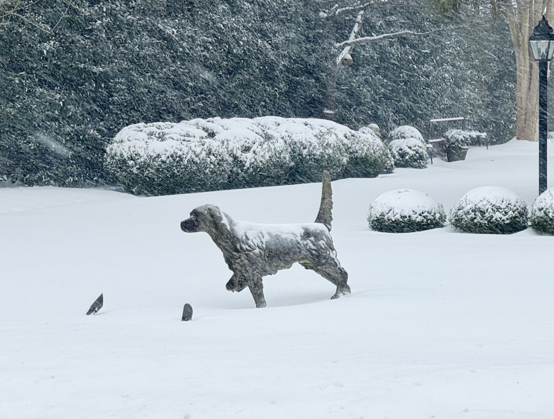 This dog statue stands tall in the snow. NICK ROTH PHOTO