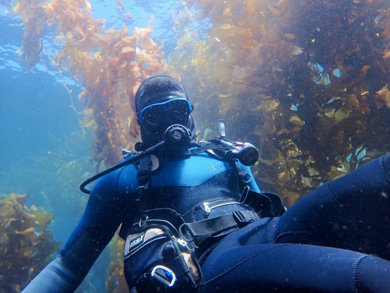 UD doctoral student dives deep to explore the underwater world