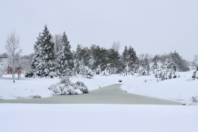 A nice post-blizzard scene on Hebron Road in Rehoboth Beach.
BILL SHULL PHOTO