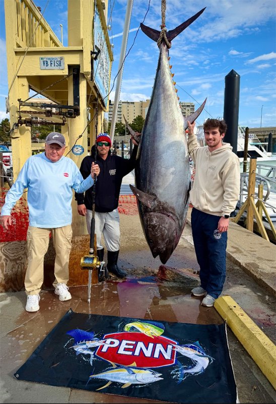 Monster bluefin caught for new Virginia state record