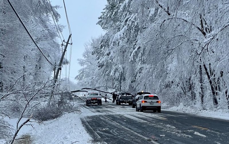 Delaware Cooperative officials say they are out assessing damage to power lines including those from downed trees, such as these along Route 8 in Hartly. SOURCE: DELAWARE ELECTRIC COOPERATIVE