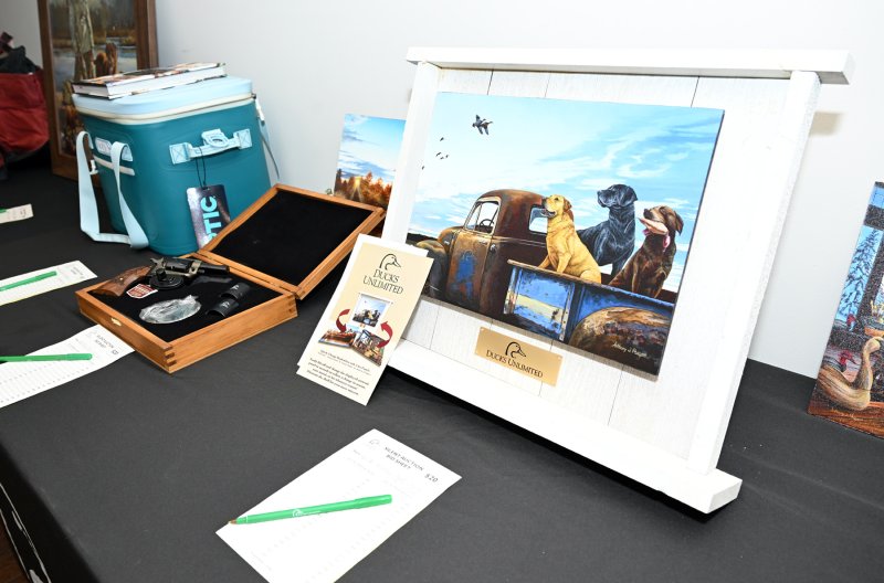 Silent auction items.