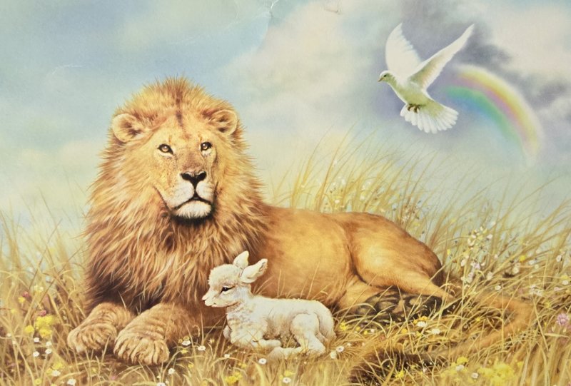 The lion and the lamb represent the weather temperaments of March. SUBMITTED PHOTO