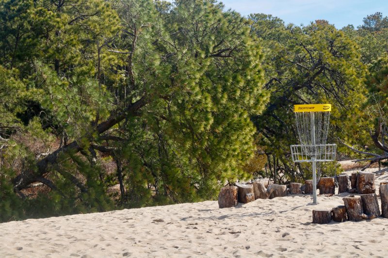 There are still some trees leaning, but they managed to hold on enough.