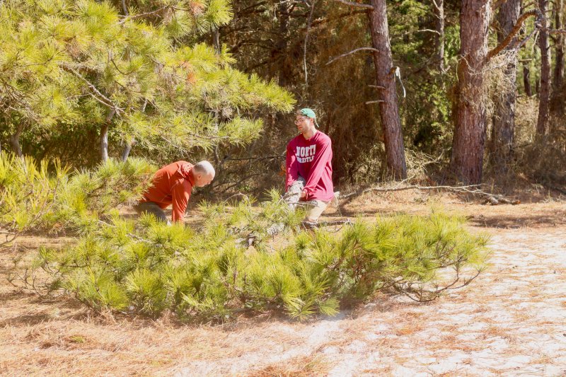 John Lester, left, and Ryan Dunhamn carry a large branch over to the yard waste pile.