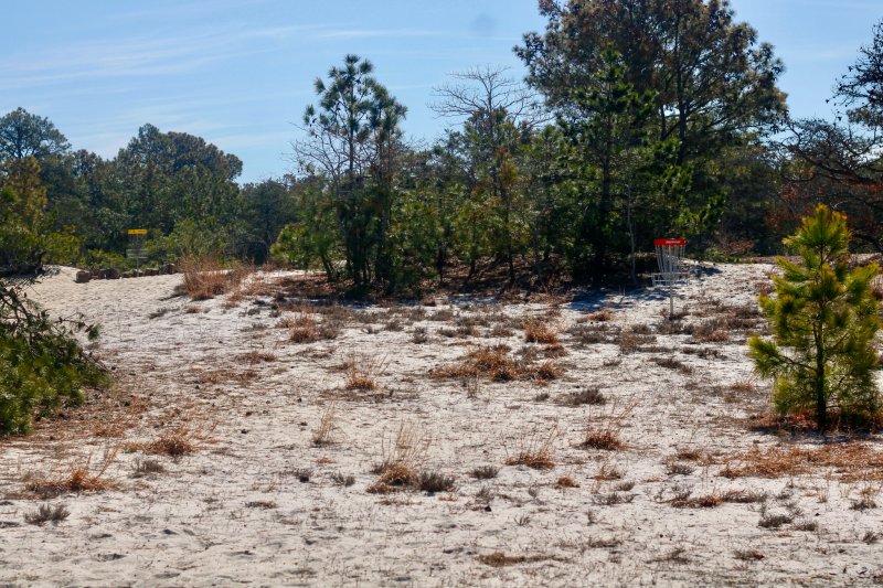 Trees are natural hazards on the course, but the storm created some safety hazards that are not intended.