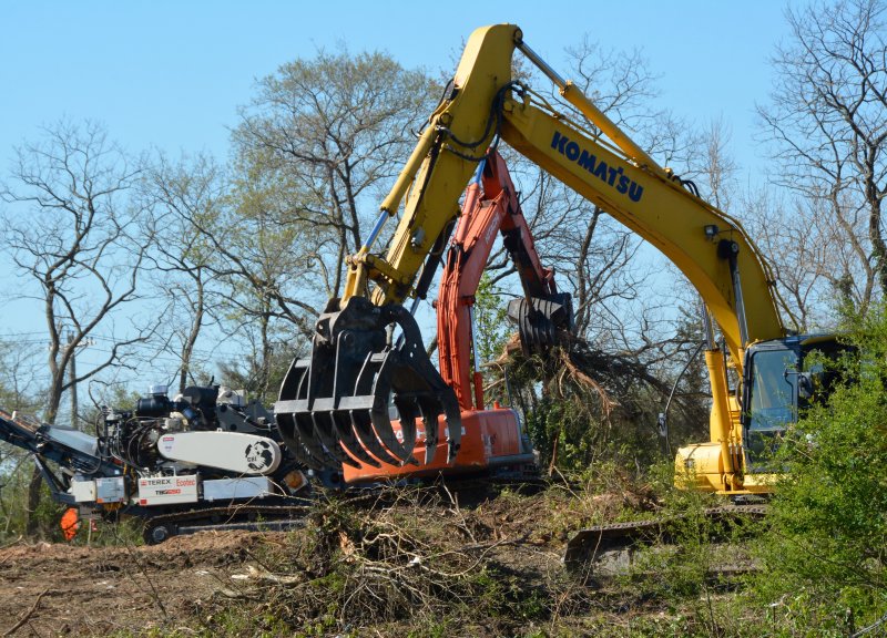 Sussex eyes forest protection law