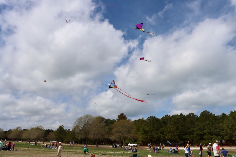 Once the wind kicked up, the kites soared over Cape Henlopen State Park.