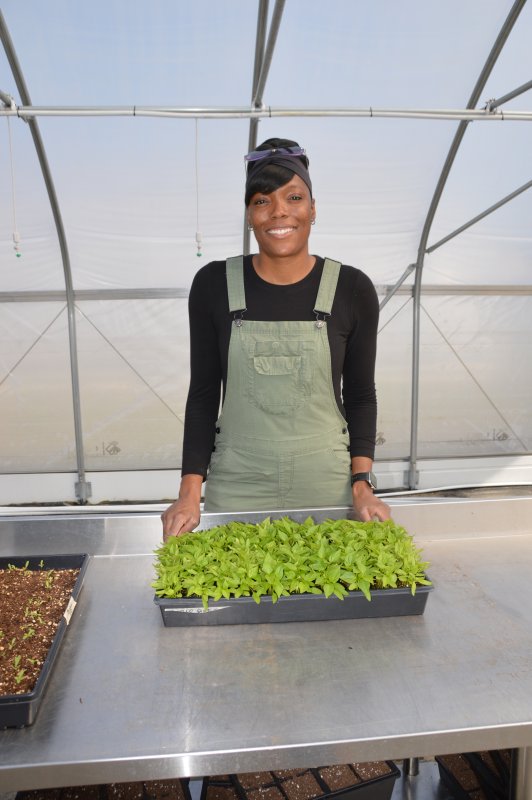 Food Bank garden to host plant sale May 2 in Milford