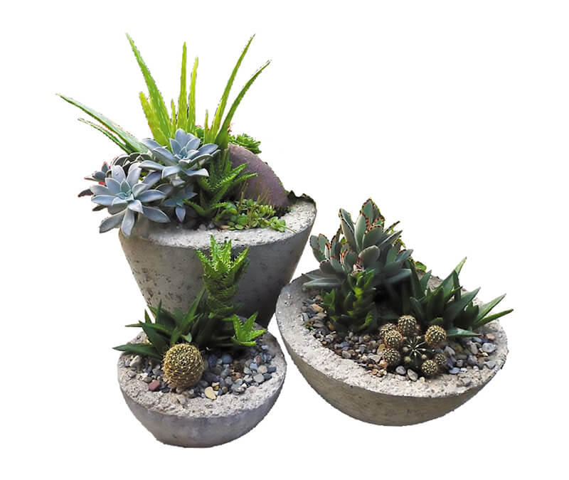 Succulent Planters