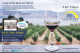Capstone, Torbay, Vines of Sandhill, New Construction