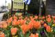 Faith United Women Hold Walk For Homeless Cape Gazette