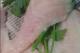 Caught 5-15-2023