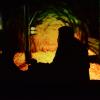 New Covenant Shadow