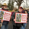 A protest was held Nov. 22 in Milton about the planned cutting down of a pecan tree at the corner of Route 16 and Union Street Extended. The tree is slated to be felled as part of traffic improvements associated with a new Royal Farms at the site. Taking part in the protest are (l-r) Jim McSherry, Tim Greenwalt and James Wright. RYAN MAVITY PHOTOS