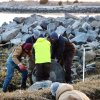 Members of a team from the University of Delaware Lewes campus roll a large, concrete ball, called an oyster castle, down an embankment and into the water March 25. They are building a living shoreline on a tiny spit of land off Pilottown Road. The structure is designed to protect the shoreline from erosion caused by rising sea levels. BILL SHULL PHOTOS