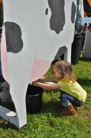 Anna Crenshaw of Milton practices milking a cow. The Hopkins milk more than 500 cows everyday, and each cow produces about 9 gallons of milk a day. BY RON MACARTHUR