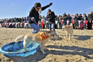 In the first pooch plunge Feb. 2, these Rehoboth Beach golden retriever owners try to get their dogs into the pools. Making the effort are Rina Pellegrini with Shadow and Dana Allers with Lucca. BY RON MACARTHUR