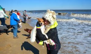 Mia Dovgalyuk wraps up her rat terrier Dixie after she gets wet in the Special Olympics Pooch Plunge. BY RON MACARTHUR