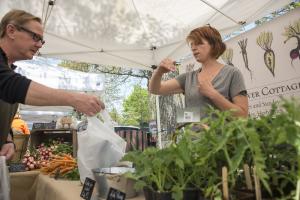 Kathleen Moss, owner of Mossflower Cottage Farm, a new vendor, explains a planting technique to Jonathan Sova. BY DENY HOWETH