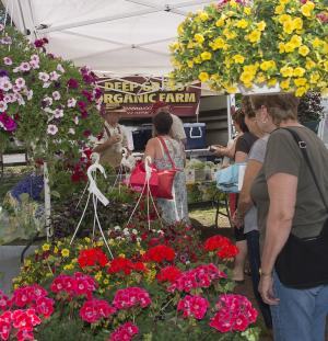 Deep Grass Organic Farm offers hanging baskets that were quite the attraction after a long, grey winter. BY DENY HOWETH