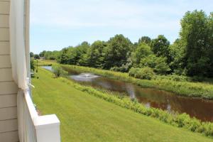 Pond Views