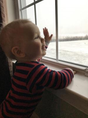 Cameron Reifsnyder enjoys his first snowfall from inside a nice warm house. GENESIS REIFSNYDER PHOTO