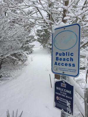 “The path to Lewes Beach was serene and deserted, unlike the choppy surf and brutal wind on the other side of the dune,” writes Joy Stephenson, who took this photo.