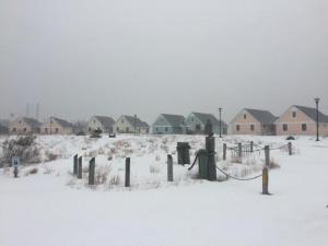 These colorful cottages near Dewey Beach are surrounded by lots of the fluffy white stuff. MANDY CUTRIGHT PHOTO