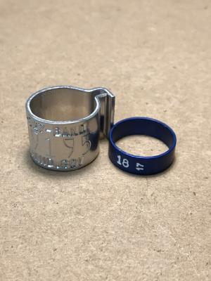New Bands 