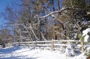 There is beauty in the cold and wind as snow clings to the fence and trees along Gills Neck Road near Lewes. RON MACARTHUR PHOTO