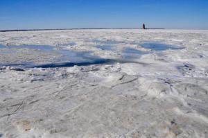 With frigid cold over the past week, thick ice has formed near the point in Cape Henlopen State Park. RON MACARTHUR PHOTO